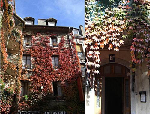 Hotel Central Annecy Buitenkant foto